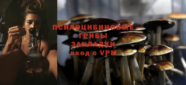 винт Краснослободск